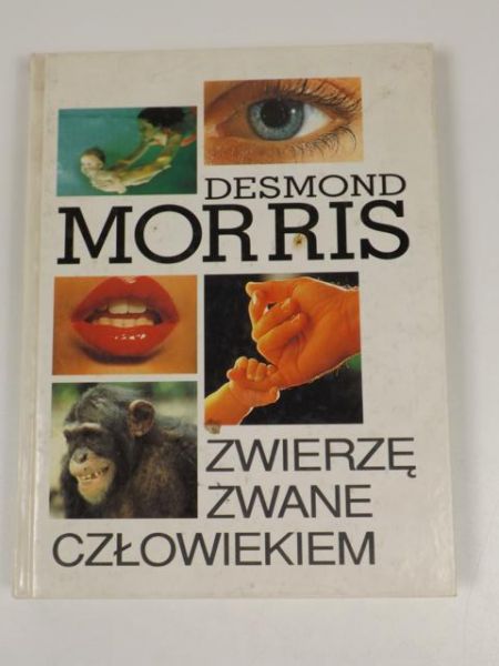 Zwierzę zwane człowiekiem