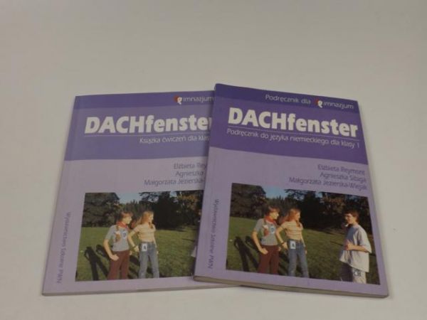 Dachfenster 1
