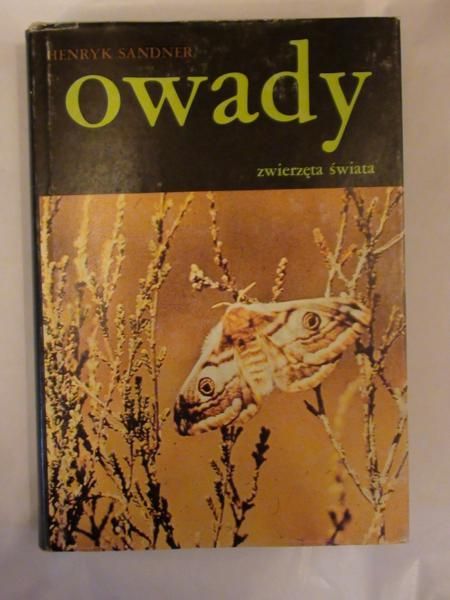 Owady