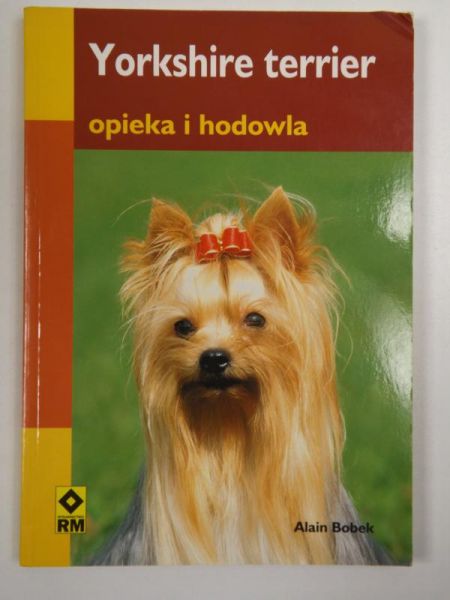 Yorkshire terrier