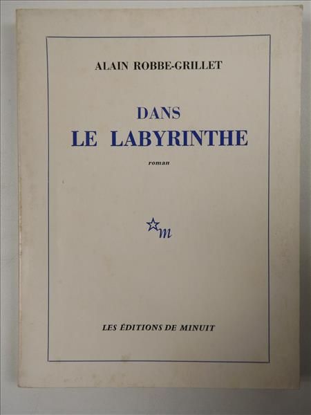 Dans le Labyrinthe. Roman