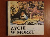 Życie w morzu