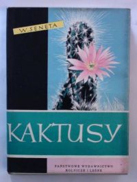 Kaktusy