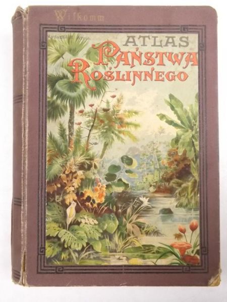 Atlas państwa roślinnego, 1911 r.