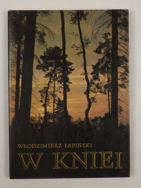 W kniei