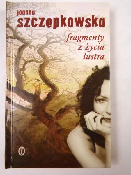 Fragmenty z życia lustra