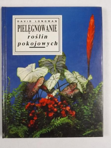 Pielęgnowanie roślin pokojowych