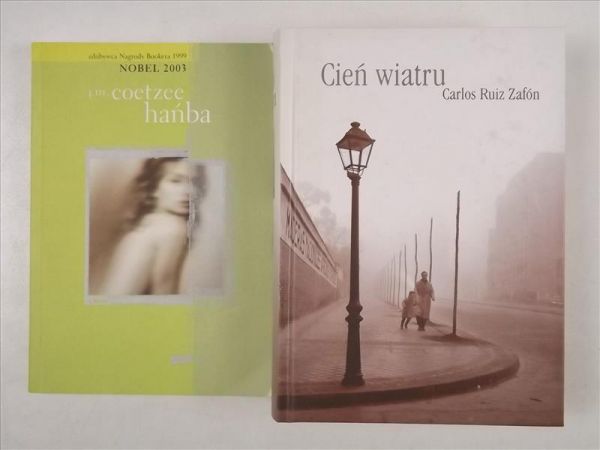 Coetzee,  - Hańba/ Cień wiatru
