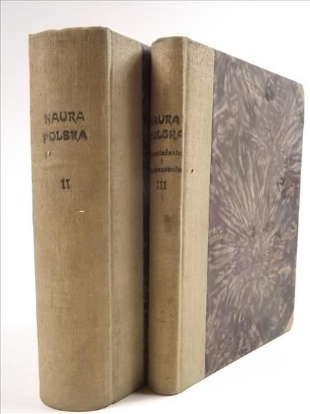 Nauka Polska jej potrzeby, organizacja i rozwój , Tom II-III, 1919