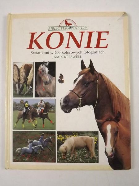 Konie