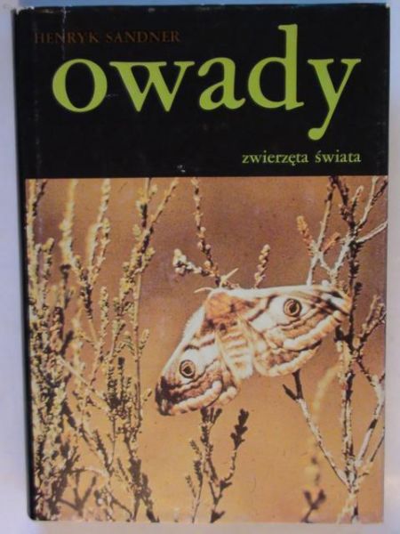 Owady