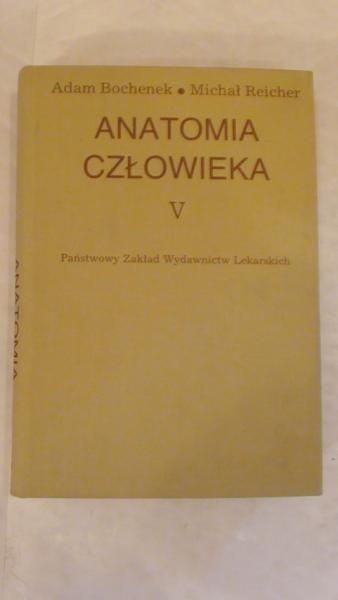 Anatomia człowieka Tom V