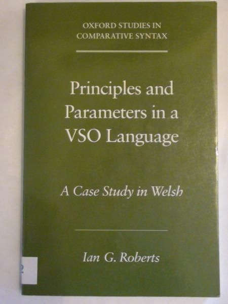 Principles and Parameters in a VSO Language