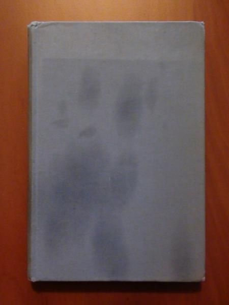 Polish Prose and Verse. A Selection with an Introductory Essay