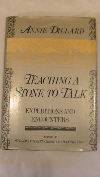 Teaching a Stone to Talk