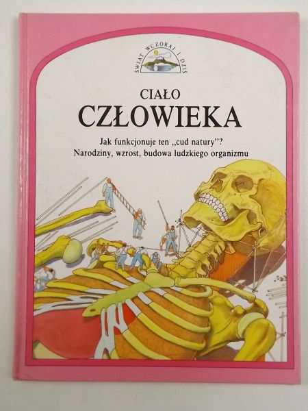 Ciało człowieka