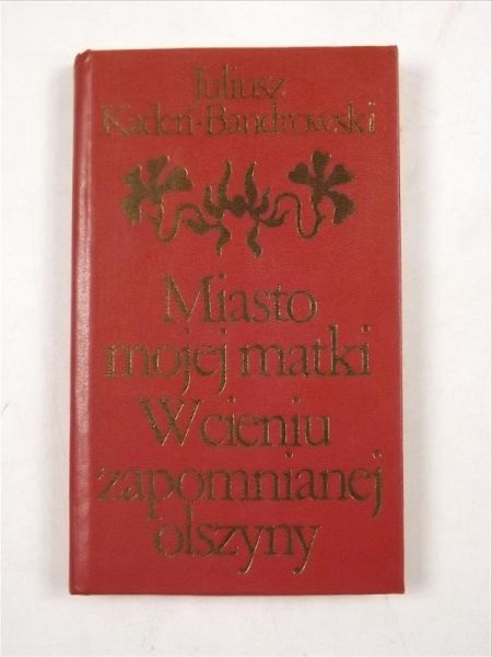 Miasto mojej matki. W cieniu zapomnianej olszyny.