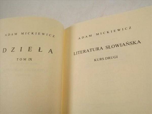 Mickiewicz Adam - Literatura słowiańska. Kurs drugi. Dzieła Tom IX