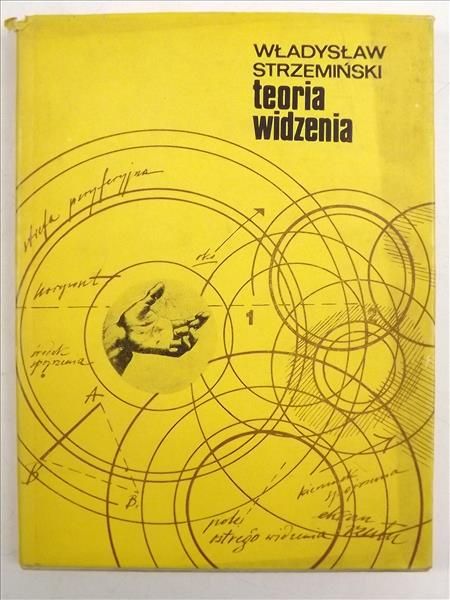 Teoria widzenia