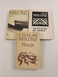 Dolina Issy/ Poezje/ Zaczynając od moich ulic