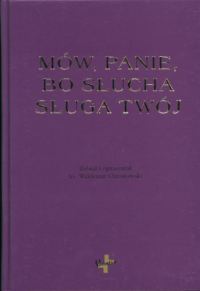 Systemowe rozumienie języka