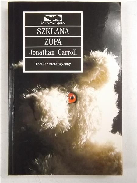 Szklana zupa