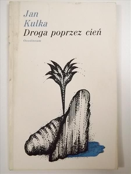 Droga poprzez cień