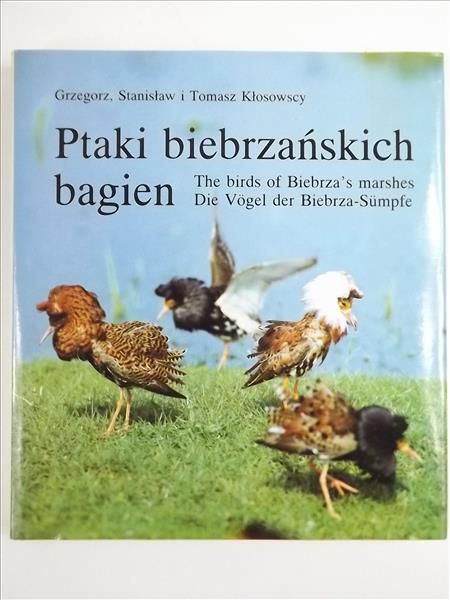 Ptaki biebrzańskich bagien