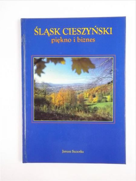 Śląsk Cieszyński. Piękno i biznes