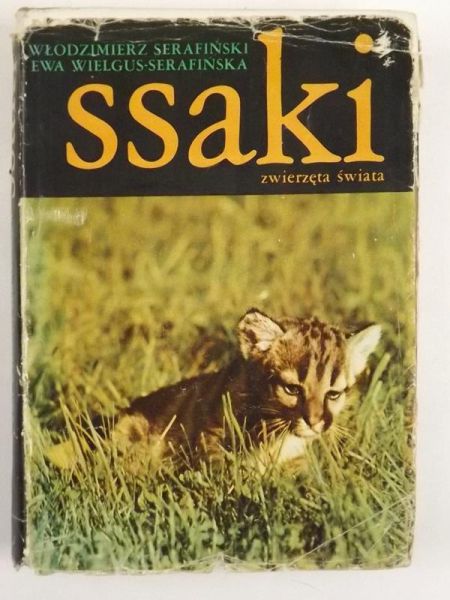 Ssaki