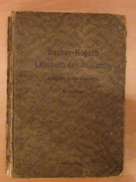 Anatomie des menschen Band V 1920r.