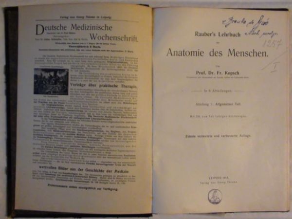 Anatomie des Menschen 1914 r.