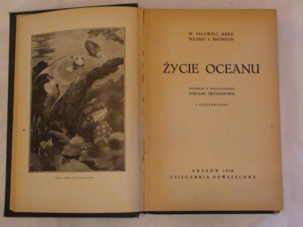 Reed W. Maxwell, Bronson Wilfrid S. - Życie oceanu