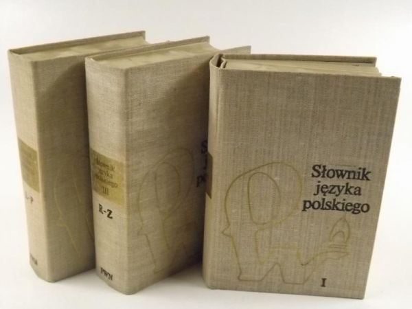 Słownik języka polskiego, T. I-III