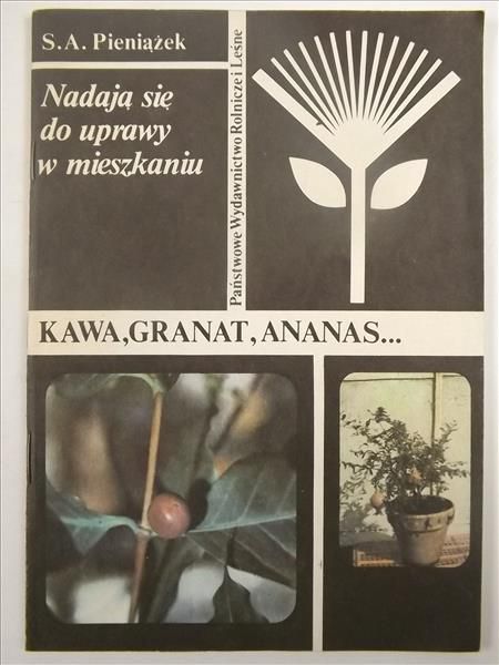 Pieniążek S. A. - Kawa, granat, ananas nadają się do uprawy w mieszkaniu