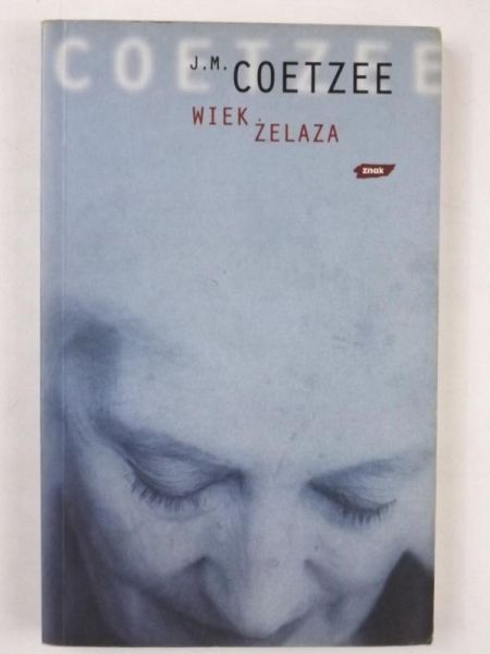 Wiek żelaza
