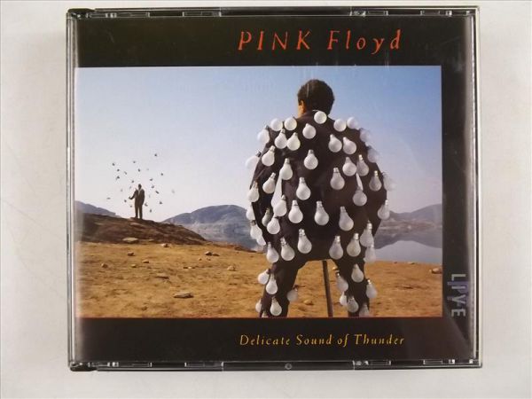 Delicate Sound of Thunder, 2 płyty CD