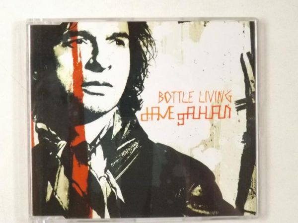 Gahan Dave - Bottle Living, CD