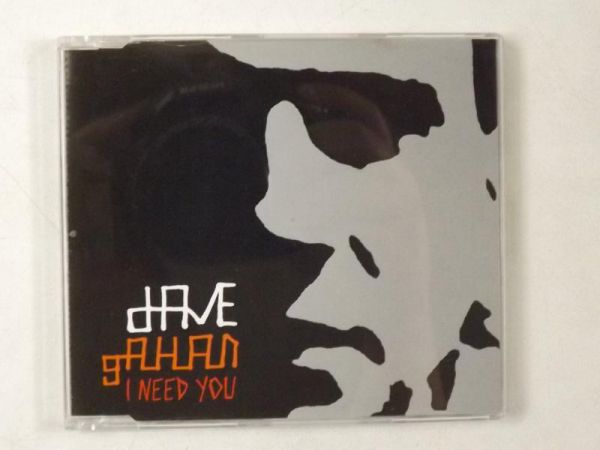 Gahan Dave - I Need You, CD
