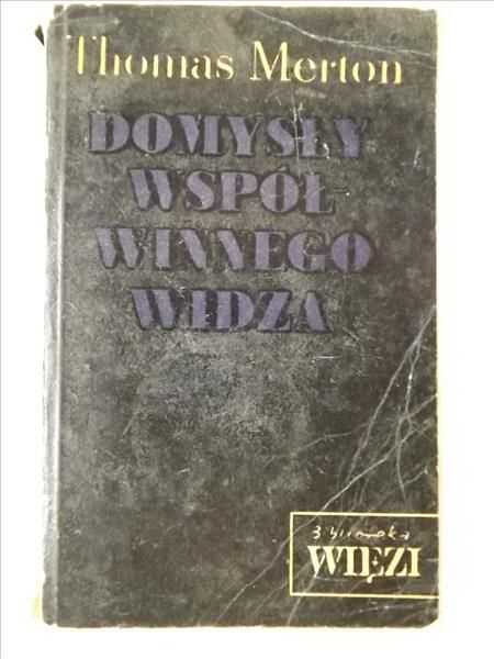 Domysły współczesnego widza