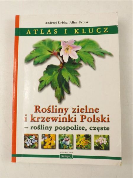 Rośliny zielne i krzewinki Polski