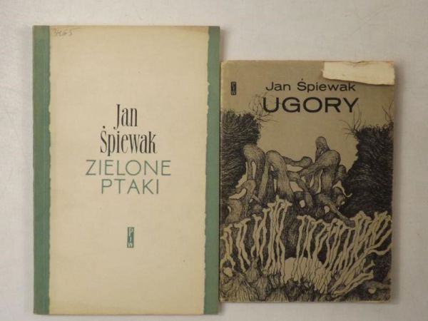 Ugory/ Zielone ptaki