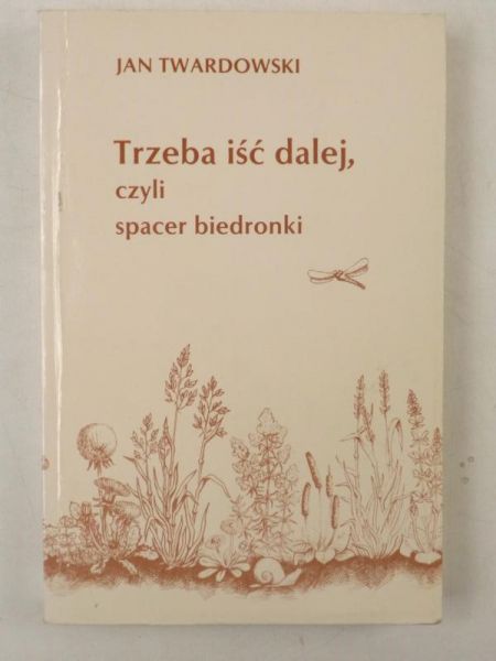 Trzeba iść dalej, czyli spacer biedronki