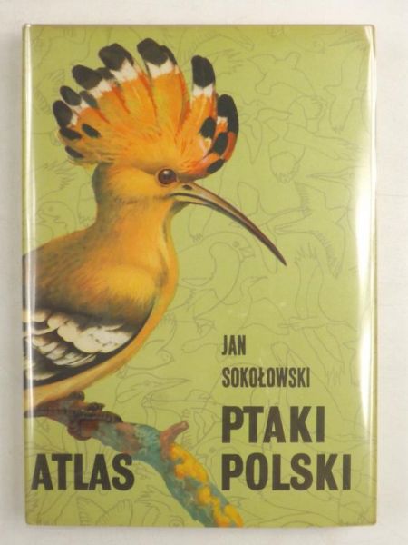 Ptaki Polski