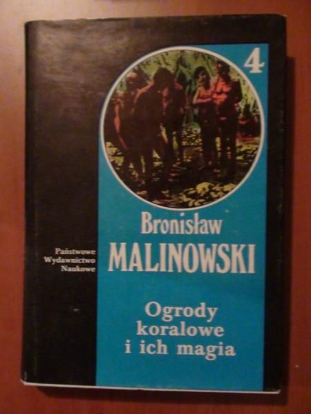 Ogrody koralowe i ich magia