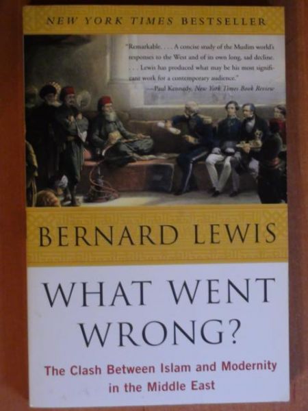 Lewis Bernard - What Went Wrong?