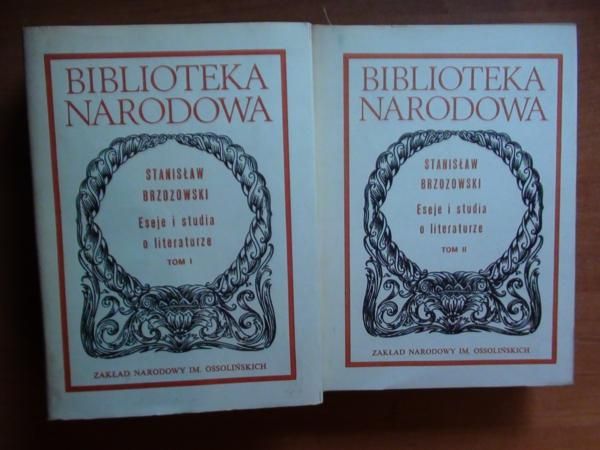 Eseje i studia o literaturze