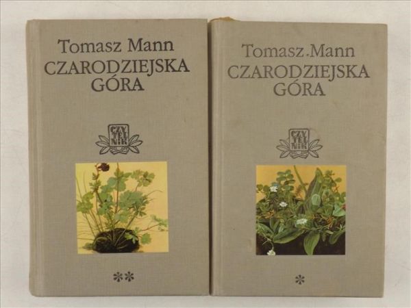 Czarodziejska góra, T. I-II