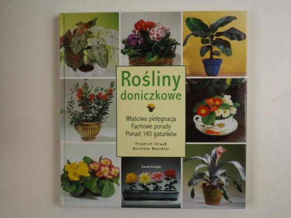 Rośliny doniczkowe