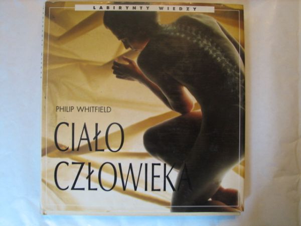 Ciało człowieka
